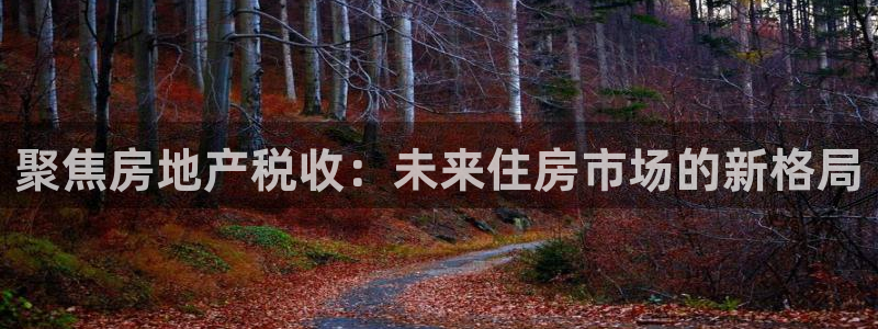 风暴娱乐登录网址：聚焦房地产税收：未来住房市场的新格局