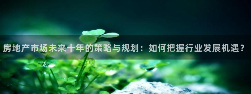 风暴娱乐上5指尖：房地产市场未来十年的策略与规划：如何把握行