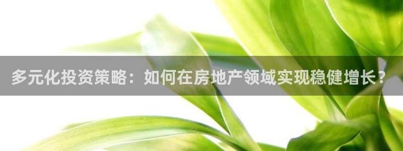 注册风暴娱乐：多元化投资策略：如何在房地产领域实现稳健增长？