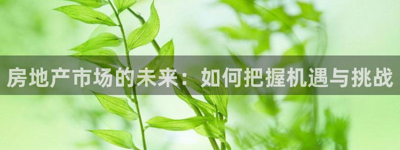 风暴娱乐 风暴注册平台：房地产市场的未来：如何把握机遇与挑战