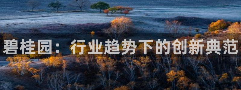 娱乐风暴合集：碧桂园：行业趋势下的创新典范