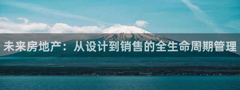 娱乐星空风暴：未来房地产：从设计到销售的全生命周期管理
