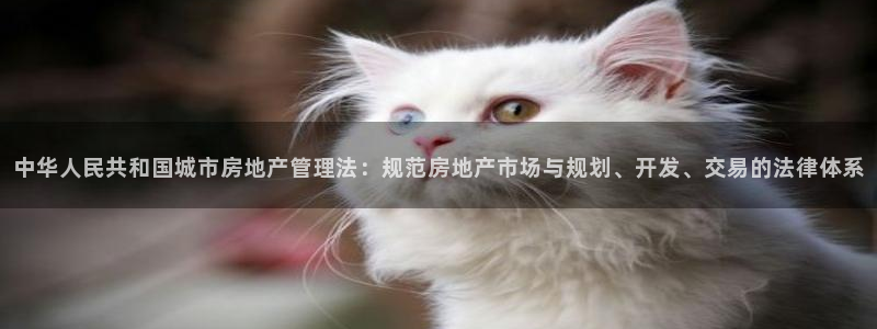 风暴娱乐主管是谁：中华人民共和国城市房地产管理法：规范房地产