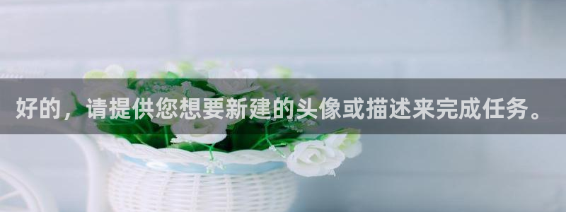 风暴娱乐注册网址：好的，请提供您想要新建的头像或描述来完成任