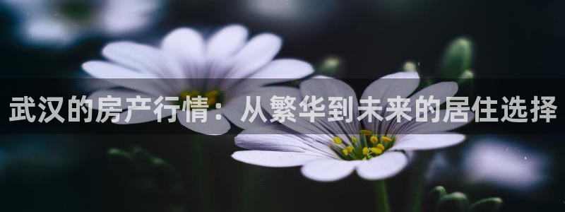 风暴娱乐左5指尖：武汉的房产行情：从繁华到未来的居住选择