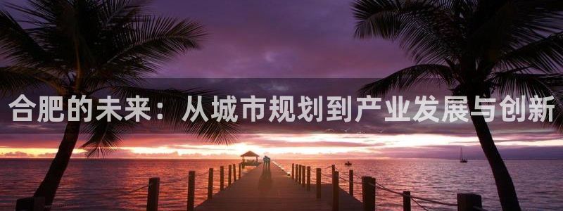 娱乐风暴合集：合肥的未来：从城市规划到产业发展与创新