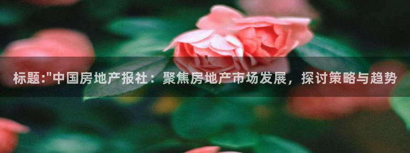 风暴娱乐套路：标题:\
