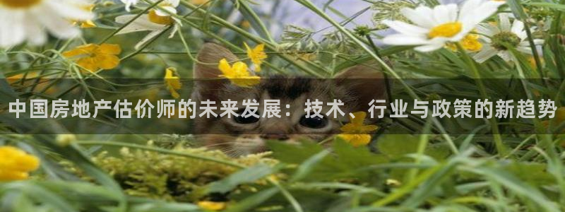 风暴娱乐厅：中国房地产估价师的未来发展：技术、行业与政策的新