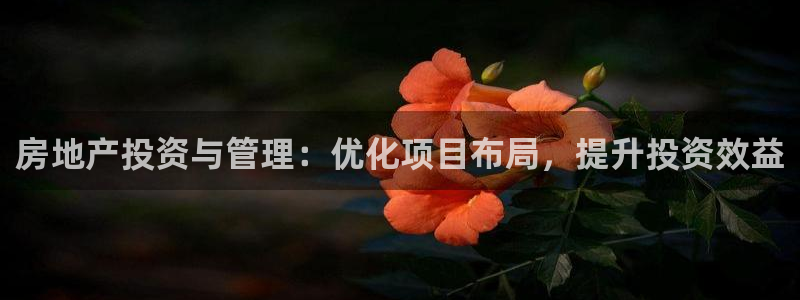 风暴娱乐求333OOc：房地产投资与管理：优化项目布局，提升