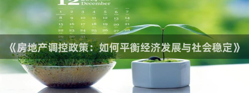 风暴娱乐1：《房地产调控政策：如何平衡经济发展与社会稳定》