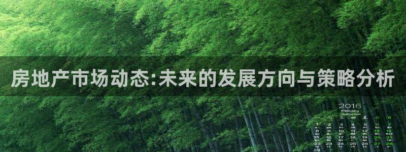 风暴娱乐求333OOc：房地产市场动态:未来的发展方向与策略