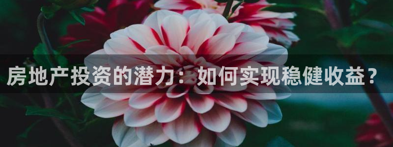 风暴娱乐去人l8888：房地产投资的潜力：如何实现稳健收益？