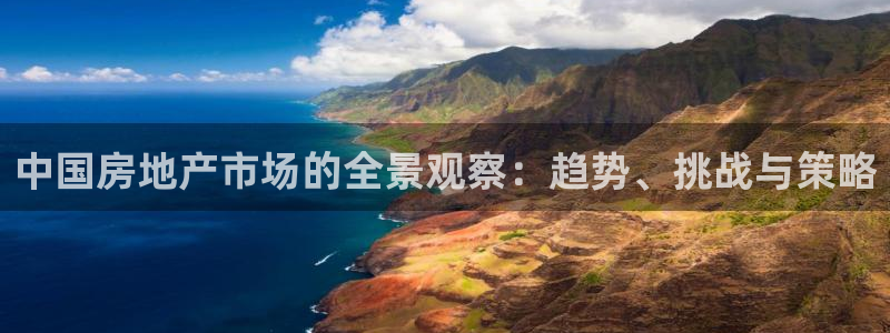 风暴娱乐套路：中国房地产市场的全景观察：趋势、挑战与策略