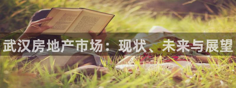 风暴娱乐拉菲8：武汉房地产市场：现状、未来与展望