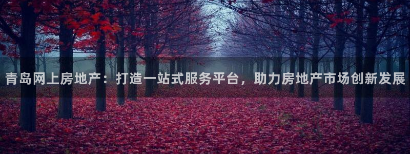 风暴娱乐5O6917：青岛网上房地产：打造一站式服务平台，助