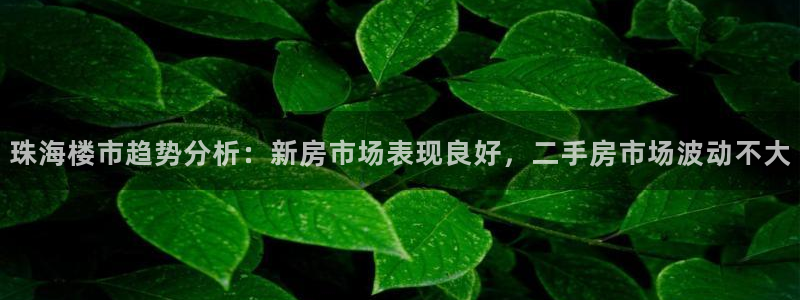 万万娱乐风暴：珠海楼市趋势分析：新房市场表现良好，二手房市场