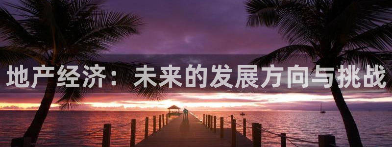 风暴娱乐1：地产经济：未来的发展方向与挑战