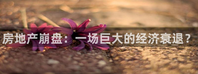 万万娱乐风暴：房地产崩盘：一场巨大的经济衰退？