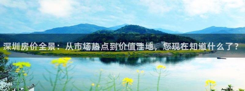 娱乐风暴二：深圳房价全景：从市场热点到价值洼地，您现在知道什