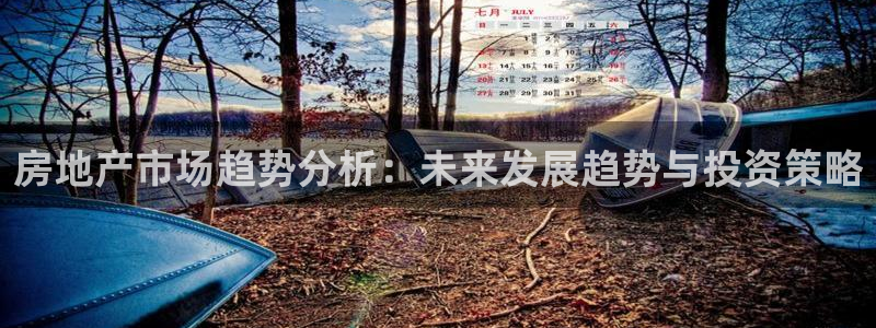 风暴新娱乐：房地产市场趋势分析：未来发展趋势与投资策略