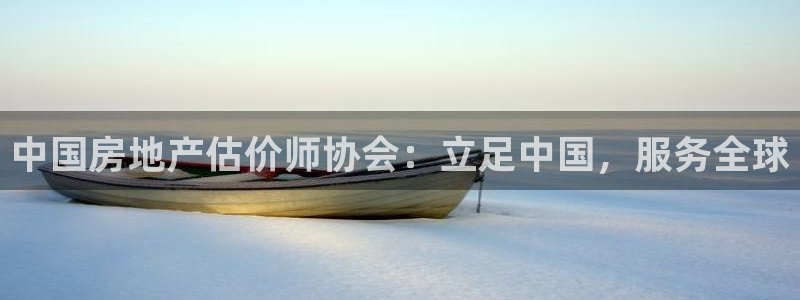 风暴娱乐银川：中国房地产估价师协会：立足中国，服务全球