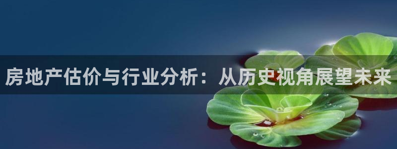 风暴娱乐求333OOc：房地产估价与行业分析：从历史视角展望