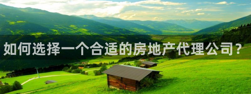风暴娱乐fb：如何选择一个合适的房地产代理公司？