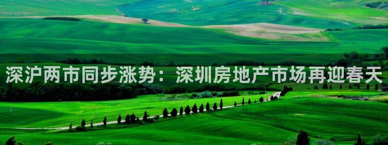 风暴娱乐40996：深沪两市同步涨势：深圳房地产市场再迎春天