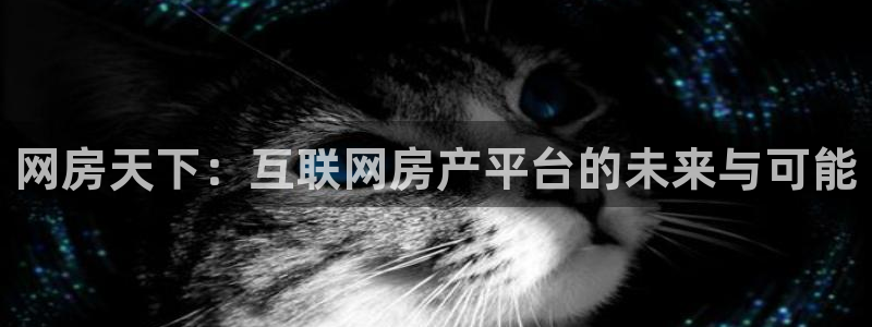 风暴娱乐 北京：网房天下：互联网房产平台的未来与可能