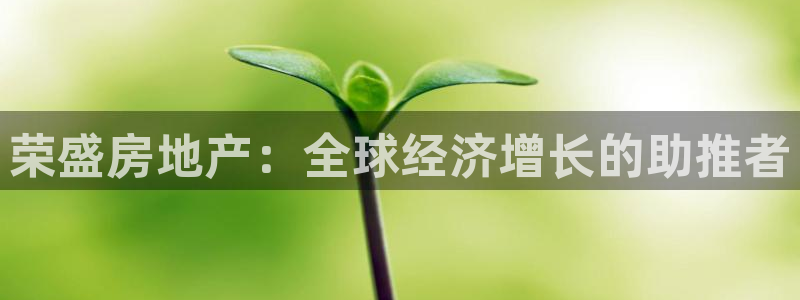 风暴娱乐眼：荣盛房地产：全球经济增长的助推者