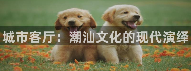 完美风暴 娱乐：城市客厅：潮汕文化的现代演绎