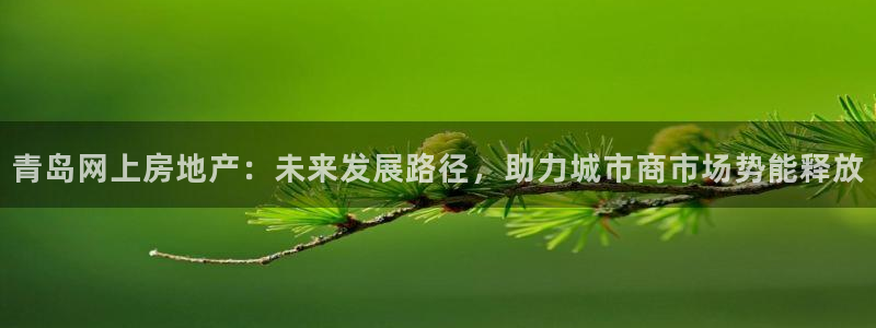 风暴娱乐去人l8888：青岛网上房地产：未来发展路径，助力城