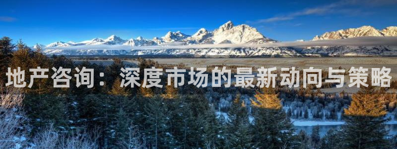 风暴娱乐图片：地产咨询：深度市场的最新动向与策略