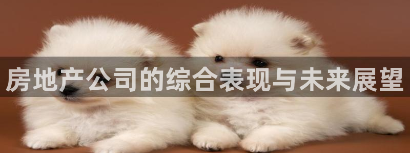 风暴注册娱乐：房地产公司的综合表现与未来展望