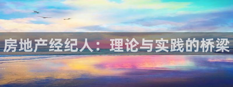 风暴娱乐棋牌：房地产经纪人：理论与实践的桥梁