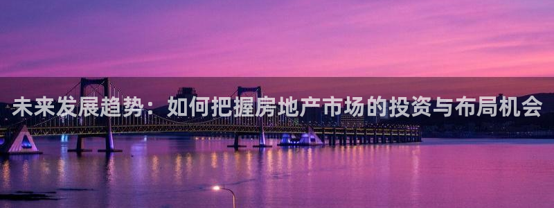 菲律宾风暴娱乐集团：未来发展趋势：如何把握房地产市场的投资与