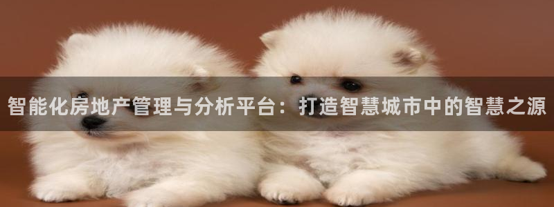 风暴娱乐40996：智能化房地产管理与分析平台：打造智慧城市