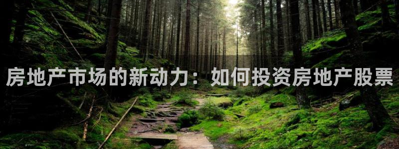 风暴娱乐左5指尖：房地产市场的新动力：如何投资房地产股票