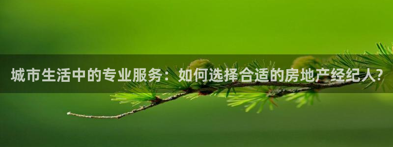 风暴娱乐 平台首页：城市生活中的专业服务：如何选择合适的房地