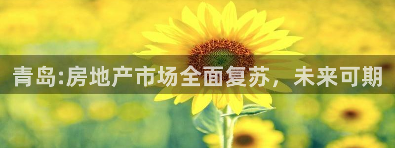 风暴娱乐棋牌：青岛:房地产市场全面复苏，未来可期