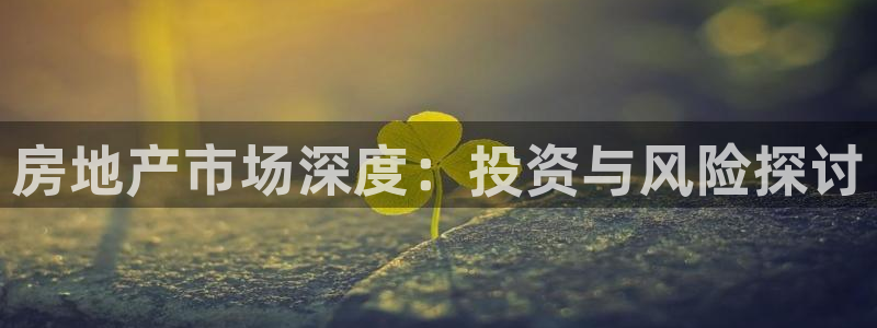 风暴娱乐40996：房地产市场深度：投资与风险探讨