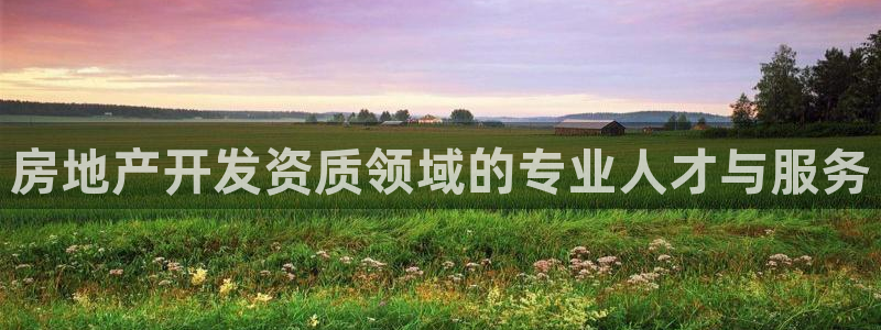 蓝色风暴娱乐：房地产开发资质领域的专业人才与服务