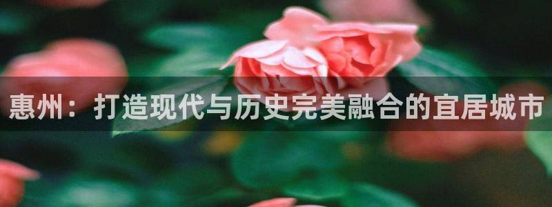 风暴娱乐左5指尖：惠州：打造现代与历史完美融合的宜居城市