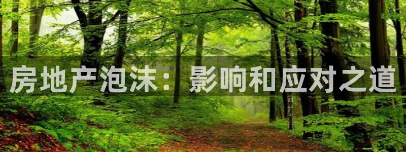 风暴娱乐注册网址：房地产泡沫：影响和应对之道