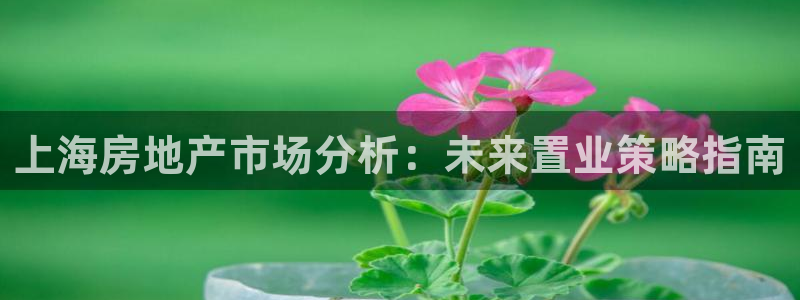 风暴娱乐提现：上海房地产市场分析：未来置业策略指南