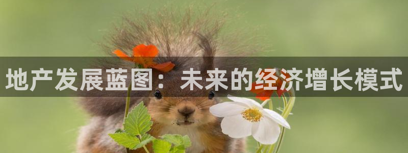 风暴平娱乐：地产发展蓝图：未来的经济增长模式