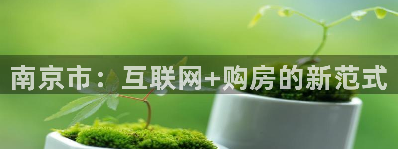 风暴娱乐40996：南京市：互联网+购房的新范式
