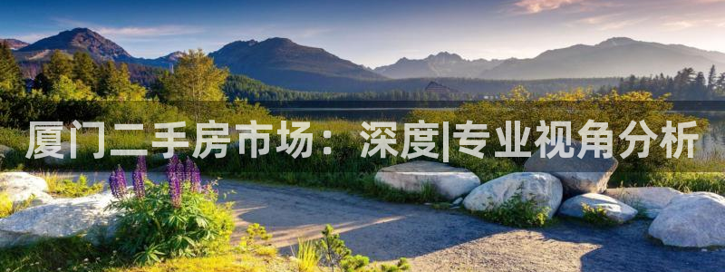 风暴娱乐有5指尖：厦门二手房市场：深度|专业视角分析