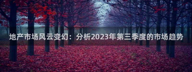 风暴娱乐测速：地产市场风云变幻：分析2023年第三季度的市场