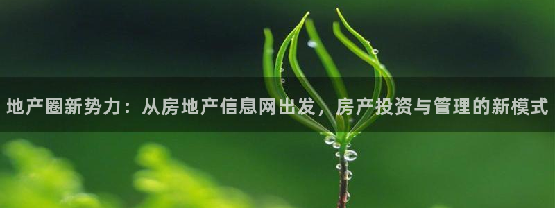 风暴娱乐官方网站：地产圈新势力：从房地产信息网出发，房产投资